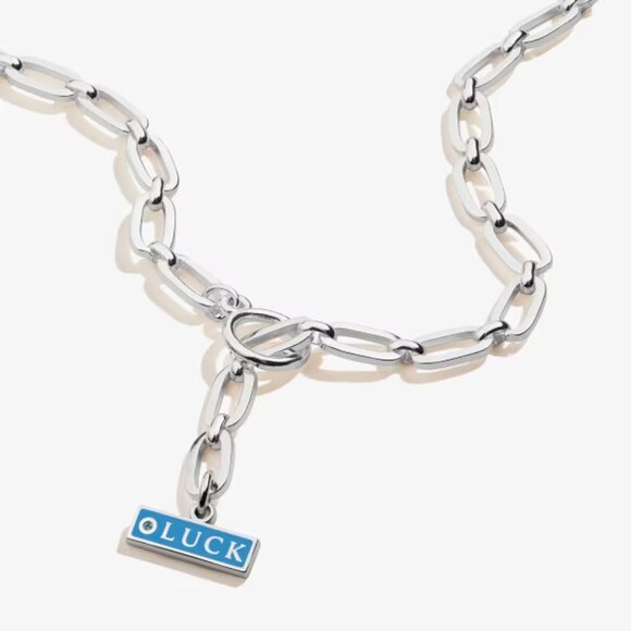 Alex and Ani 'Luck' Charm Toggle Necklace, silver - Picture 1 of 16